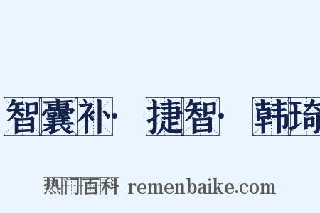 智囊补·捷智·韩琦是什么意思的图片